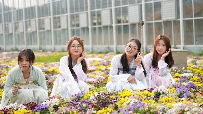 d4f8169804681e092600e6f27ab7758