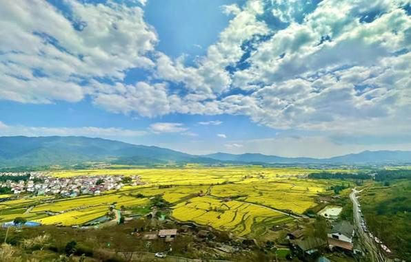 3af4668df7e2e0d89e729dd78782e1c