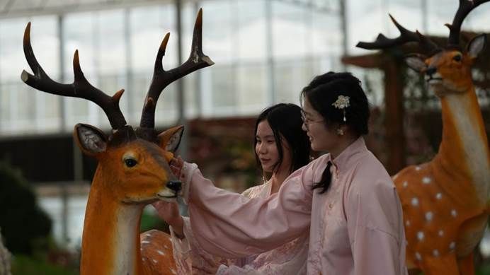 45f68e885b75e7ce7f57722d1560b35